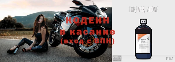 мдпв Осташков