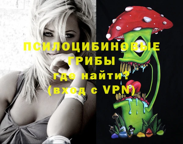 мдпв Осташков