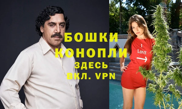 Альфа ПВП Пересвет