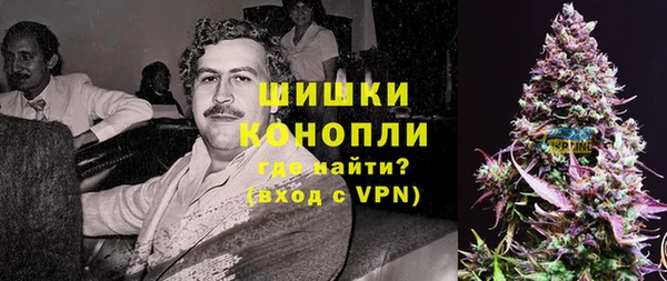 гашик Переславль-Залесский