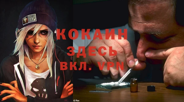 Альфа ПВП Пересвет