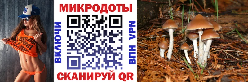 Купить закладки  Кировград  Галлюциногенные грибы Cubensis 